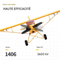 Avion Télécommandé Voilure Fixe Brushless